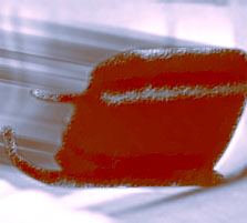 articleimage